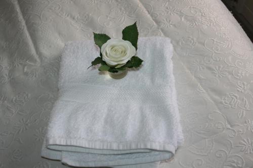 a white towel with a white rose on a bed at Country Dream - Langholt 2 in Selfoss