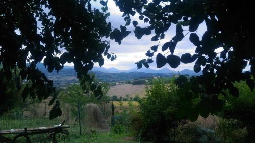 Naturlandschaft in der Nähe des Bed & Breakfasts