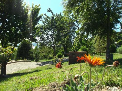 a garden with flowers in the grass and trees at Refugio Ruka Cümelen in Panguipulli