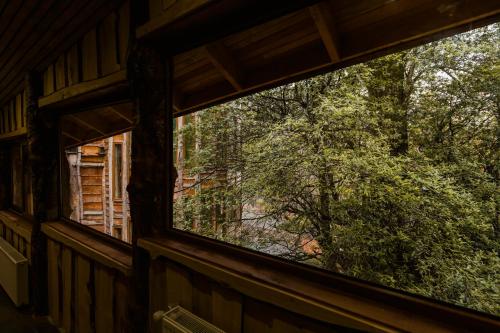a window in a cabin looking out into the woods at Huilo Huilo Reino Fungi in Huilo Huilo