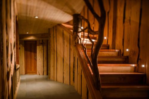 a hallway with stairs and a tree in a building at Huilo Huilo Reino Fungi in Huilo Huilo