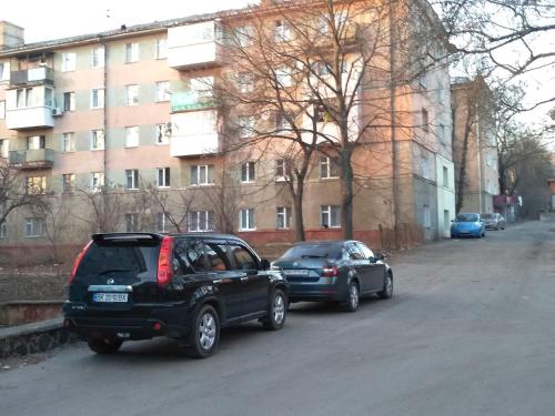 twee auto's geparkeerd aan de kant van een straat bij Apartment on Knyahyni Ol'hy Street in Rivne