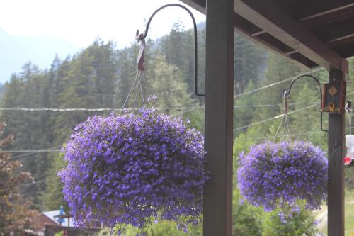 two purple flowering plants hanging from a building at Sunny Bluffs Chalets in Kaslo