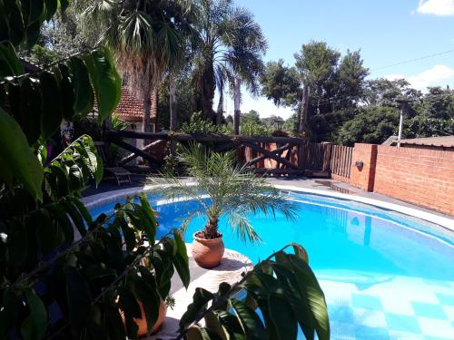 a swimming pool with a potted plant next to a fence at Sentirse en casa in Puerto Iguazú