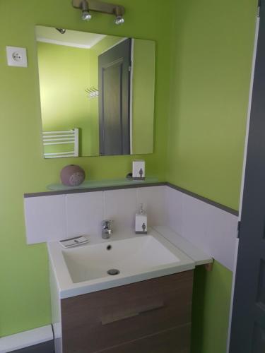 a bathroom with a sink and a mirror at Le verger Fleuri in Vallières