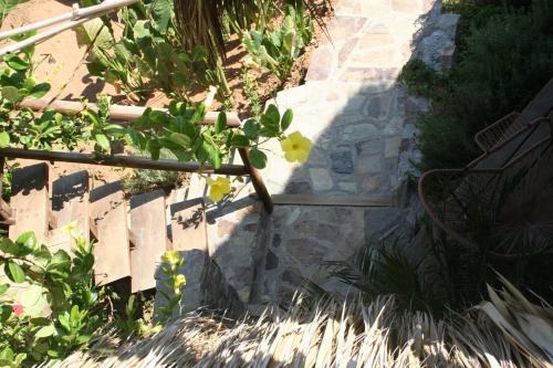 a plant with yellow flowers on the side of a staircase at Hotel Sal de Mar in San Agustinillo