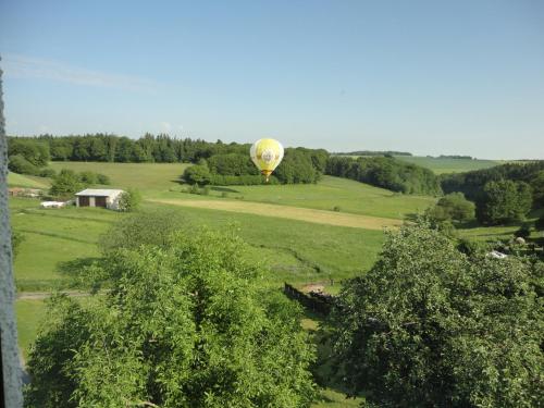 a hot air balloon flying over a green field at Zur Kringelwies in Masburg