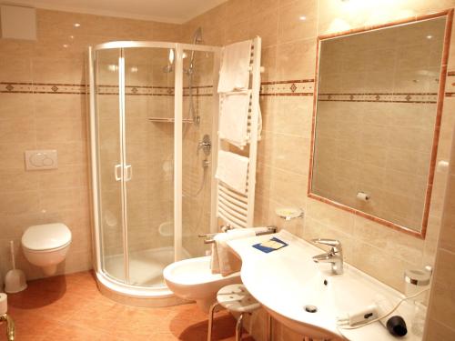 a bathroom with a shower and a sink and a toilet at Garni Flurida in Selva di Val Gardena