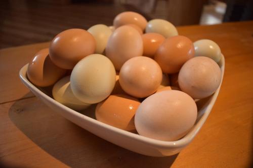 Fotografie z fotogalerie ubytování Andes Lodge, Puelo Patagonia v destinaci Puelo