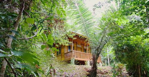 une maison en bois au milieu d'une forêt dans l'établissement Nomad Divers Bangka, à Manado