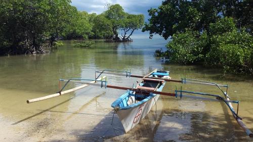 a boat sitting in the water next to some trees at Nomad Divers Bangka in Manado