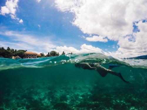 a person swimming in the water in the ocean at Turtle Bay Dive Resort in Moalboal