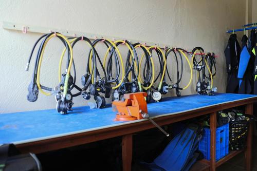 a bunch of ski equipment hanging on a wall at Turtle Bay Dive Resort in Moalboal