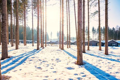 Center Parcs Park Allgäu semasa musim sejuk