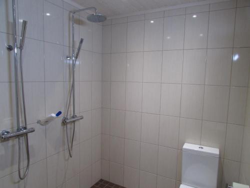 a bathroom with a shower and a toilet at Kihelkonna Jahimaja majutus in Kihelkonna