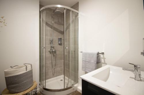 a bathroom with a shower and a sink at STUDIO LE MOUTARDE in Dijon