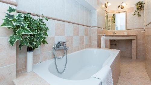 Atheneum by Rental in Rome