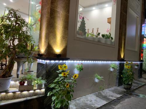 Gambar di galeri bagi King Hotel di Quy Nhon