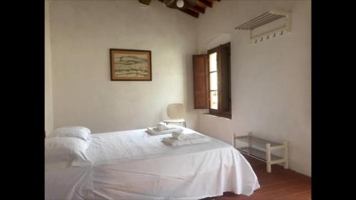 Imagen de la galería de TUSCANY & SILENCE APT COUNTRY VIEW IN TERRICCIOLA WiFi, en Terricciola