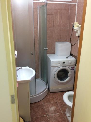 y baño con aseo, lavabo y lavadora. en Iony Apartament, en Sibiu