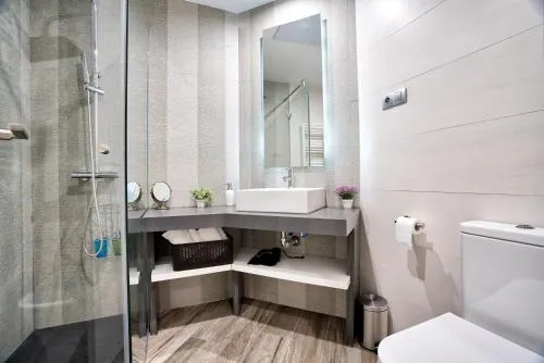 Apartamentos Cava Baja photo 39