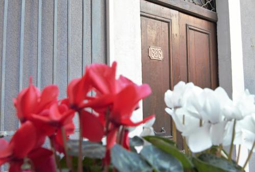 a bunch of red and white flowers in front of a door at Cataneasy Rooms in Catania