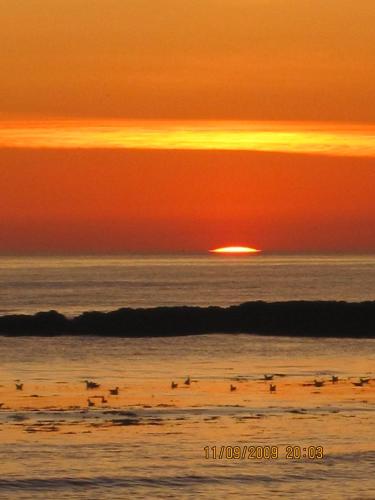 a group of birds on the beach at sunset at McMunns of Ballybunion in Ballybunion