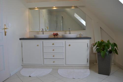 baño con 2 lavabos y espejo grande en Le Clos du Vieux Port, en Véretz