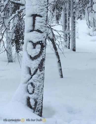 a tree trunk covered in snow in a forest at Villa Karhunkehto in Luosto