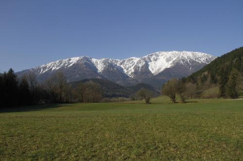 a field with a snow covered mountain in the background at Haus Lenz Ferienwohnungen - Fam Ostermann in Puchberg am Schneeberg