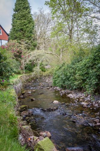 a stream with rocks and trees on the side of it at Stanley House in Eskdale