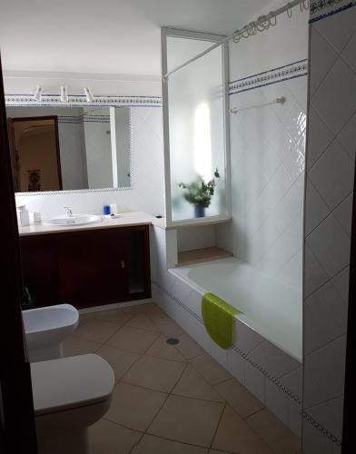 a bathroom with a shower and a sink and a toilet at Casa Dos Cedros in Guia