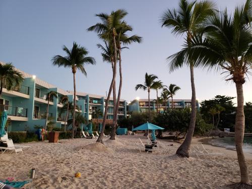 a beach with palm trees and a hotel at Secret Harbour Beach Resort in St Thomas