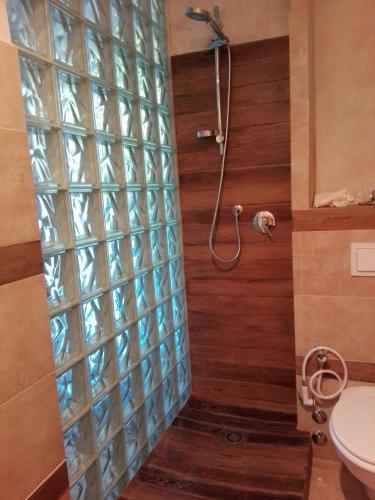 a bathroom with a shower with glass blocks on the wall at Le Ortensie in Dolcedo