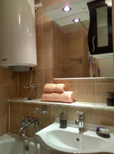 un bagno con lavandino, specchio e asciugamani di Two Rivers Apartment a Belgrado