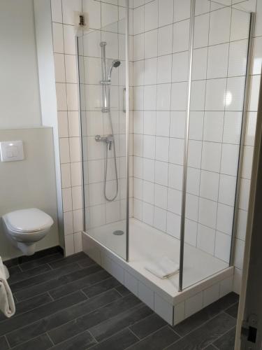 a bathroom with a shower stall and a toilet at Ibis Brive Centre in Brive-la-Gaillarde