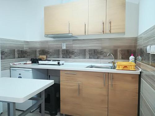 a kitchen with wooden cabinets and a sink at KIKO Krusevo in Kruševo