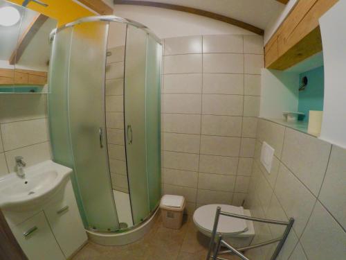 een badkamer met een douche, een toilet en een wastafel bij Prenočišča Rusjan in Renče