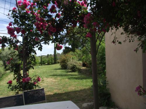 Fotografie z fotogalerie ubytování soleil et farniente v destinaci Cervione