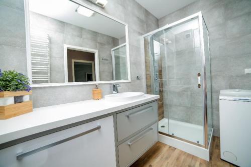 a bathroom with a sink and a shower and a mirror at Apartament Gdańska in Bydgoszcz
