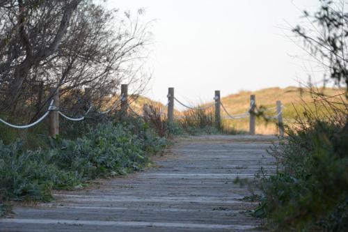 a wooden path with a fence and a rope at YOU & CO. Saler Beach Boutique in Valencia