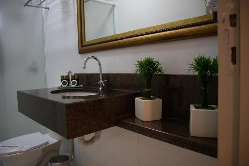 a bathroom with a sink and two potted plants at Maximus Sottile Hotel in Ji-Paraná
