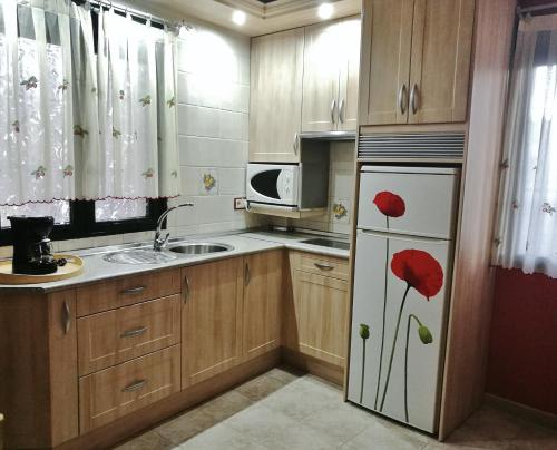 een keuken met een koelkast met een rode bloem erop geschilderd bij APARTAMENTOS MELCHOR DE LIÑAN in Torrelaguna