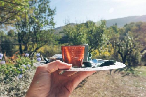 a person holding a cup of tea on a plate at Fontanaro Farm and Culinary School in Paciano