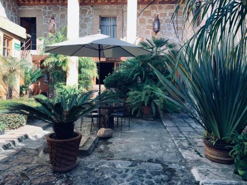 Κήπος έξω από το Hotel Casa del Anticuario