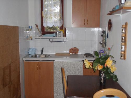 Kuchyň nebo kuchyňský kout v ubytování Apartments Miri