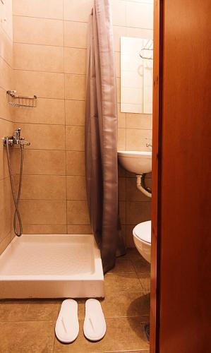 a bathroom with a shower and a toilet and a sink at Galaxy Hotel in Athens