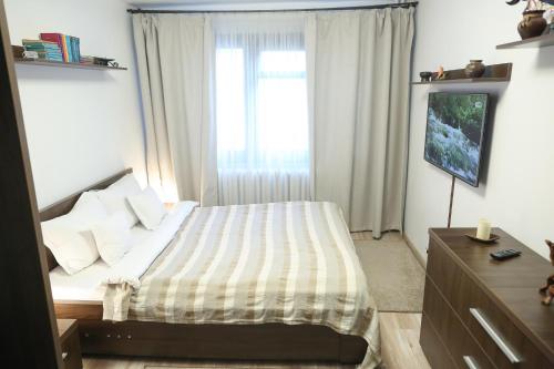 a bedroom with a bed and a tv and a window at Central Place Apartment Timisoara in Timişoara