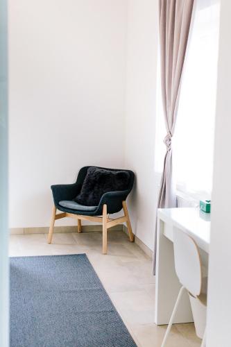 a chair in a white room with a blue rug at Steira-Studios in Ehrenhausen