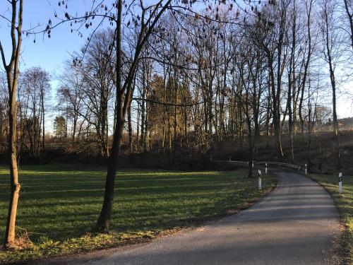 a winding road in a park with trees and grass at Waldhotel "Peter aufm Berge" in Bielefeld